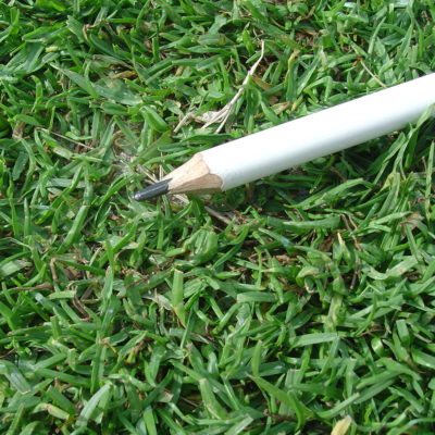 chepica pasto