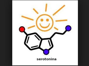 serotonina felicidad 1
