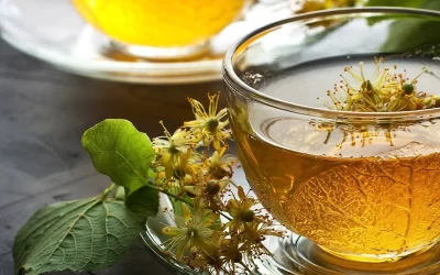Tilo (Tilia cordata) Propiedades, Beneficios y Cómo Usarlo